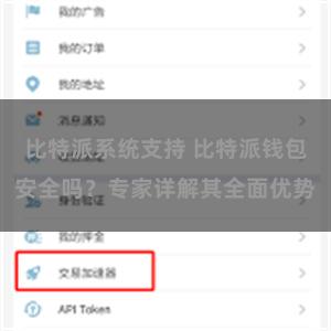 比特派系统支持 比特派钱包安全吗？专家详解其全面优势
