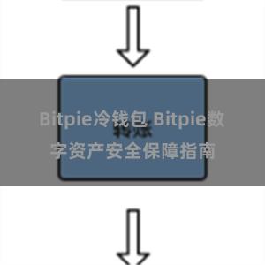 Bitpie冷钱包 Bitpie数字资产安全保障指南